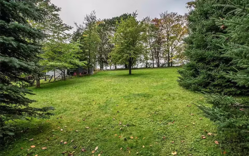 Wedding lawn area